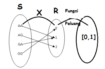 Fungsi peluang