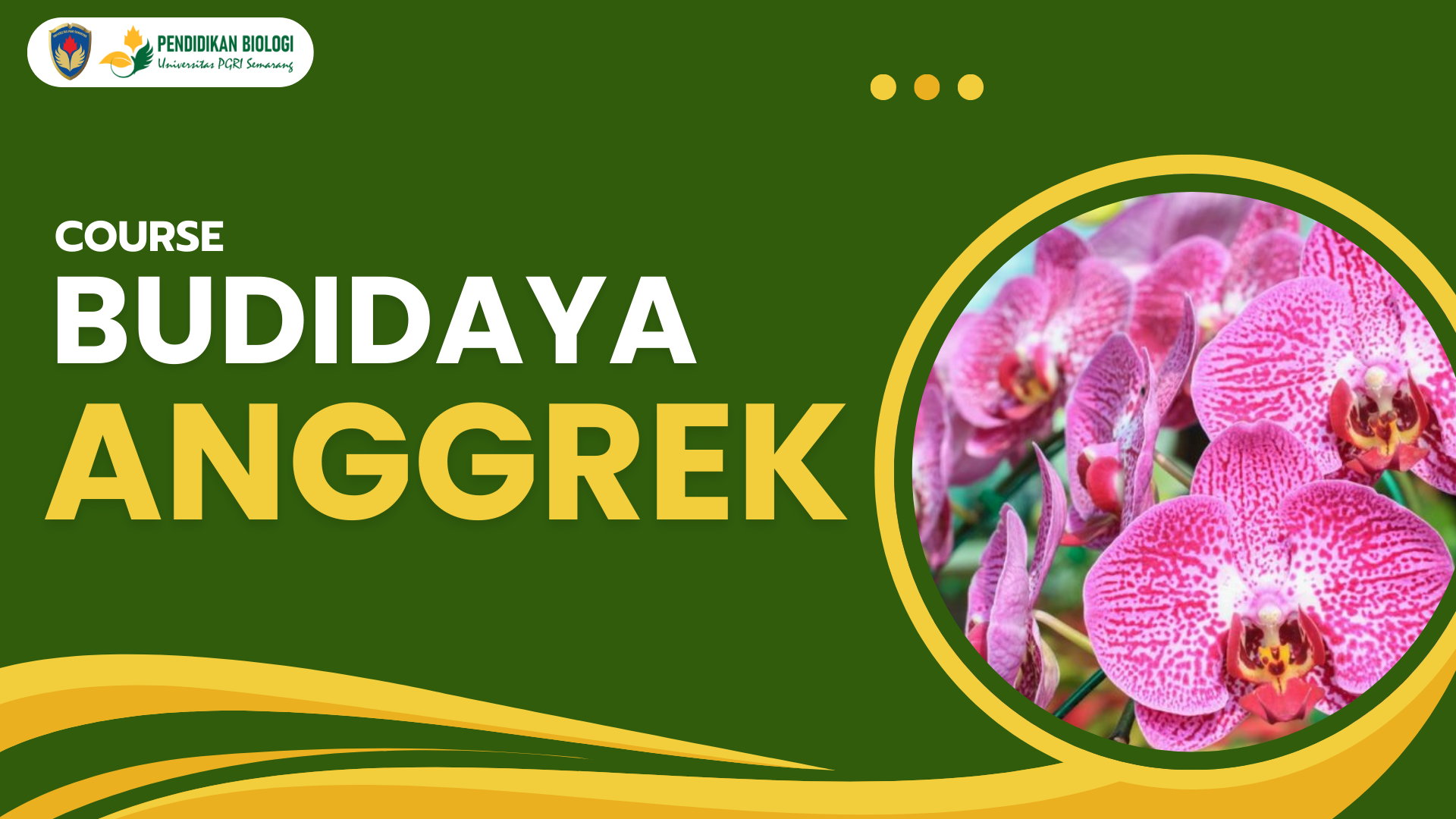 Budidaya