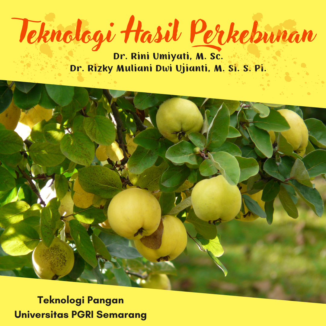 Teknologi
